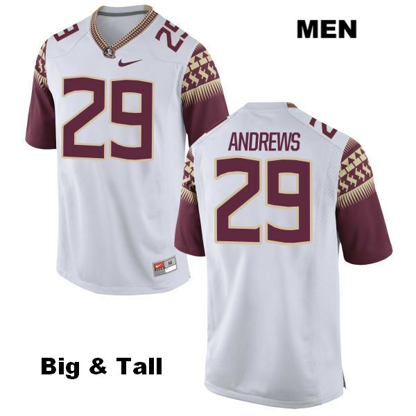Men's NCAA Nike Florida State Seminoles #29 Nate Andrews College Big & Tall White Stitched Authentic Football Jersey CZO8669RL